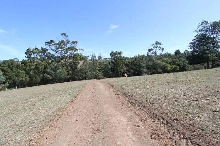 Seventh view of Homely rural property listing, 555 Boolarra - Mirboo North Road, Mirboo North VIC 3871
