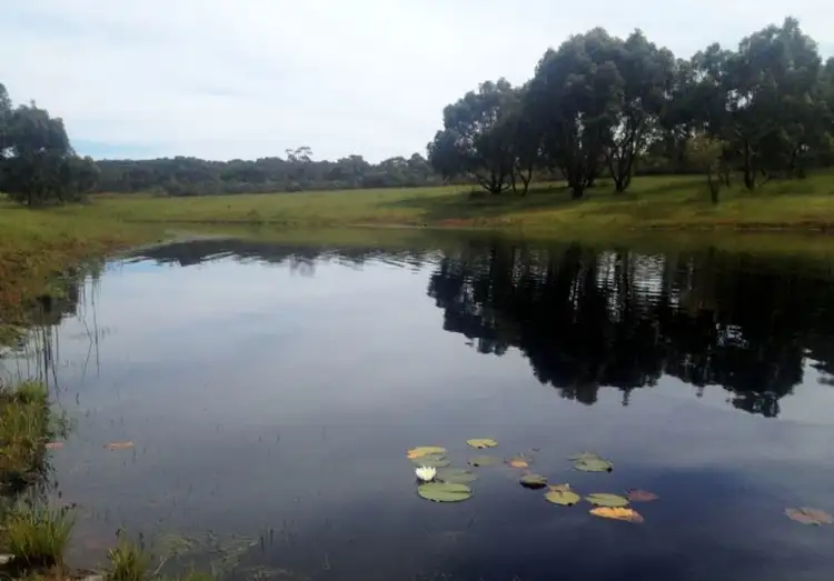 Third view of Homely rural property listing, 1900 DALYSTON ROAD, Glen Forbes VIC 3990