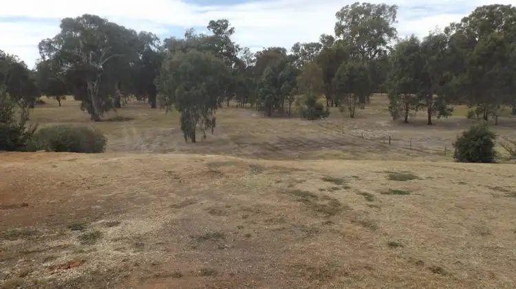 Second view of Homely house listing, 16 Riesling Street, Corowa NSW 2646