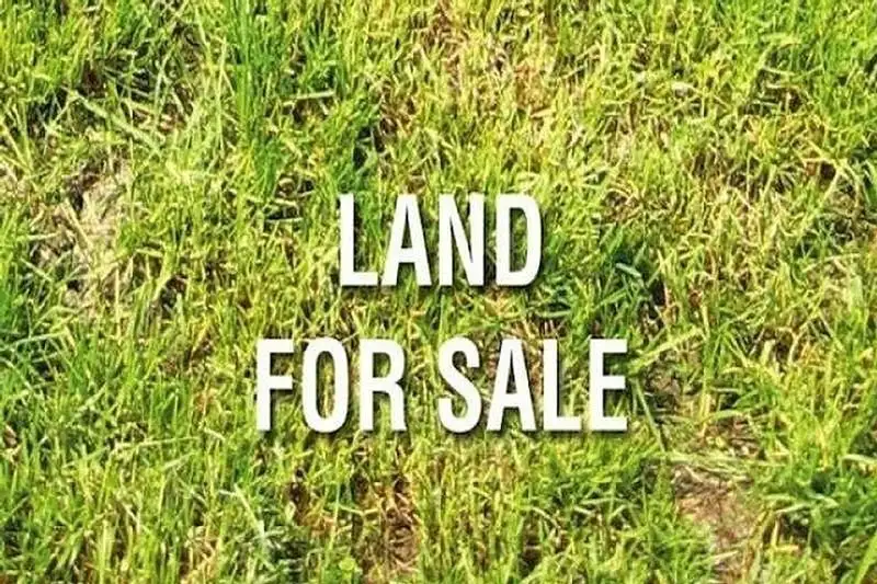 Main view of Homely land listing, 24 Denham Road, Tyabb VIC 3913