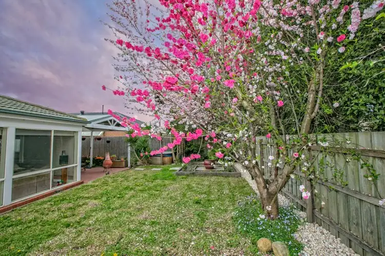 Seventh view of Homely house listing, 11 Cromford Crescent, Narre Warren South VIC 3805