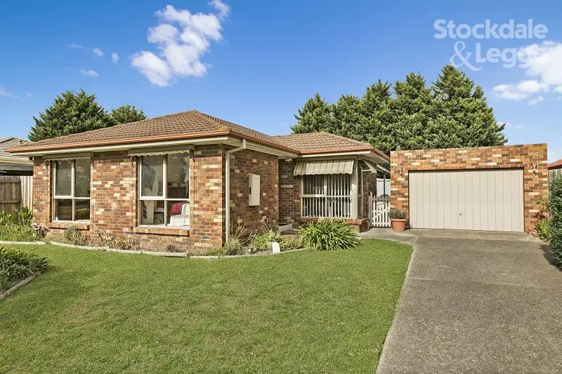 Main view of Homely house listing, 117 Gipps Crescent, Cranbourne North VIC 3977