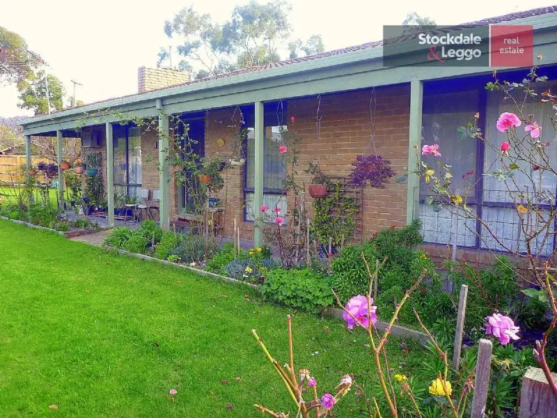 Main view of Homely house listing, 24 Rainier Avenue, Dromana VIC 3936