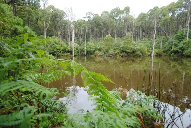 Fourth view of Homely rural property listing, 195 DOLLAR-WOORARRA WEST ROAD, Foster VIC 3960