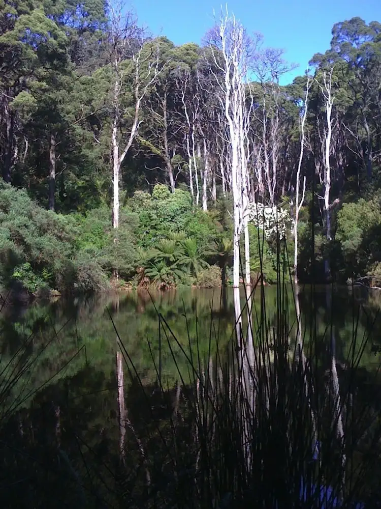 Sixth view of Homely rural property listing, 195 DOLLAR-WOORARRA WEST ROAD, Foster VIC 3960