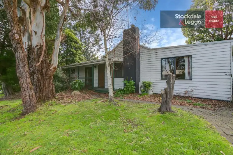 Main view of Homely house listing, 117 Palmerston Avenue, Dromana VIC 3936
