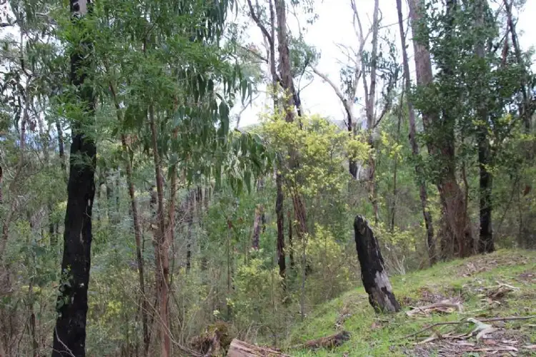 Second view of Homely land listing, 47 Warringah Drive, Chum Creek VIC 3777