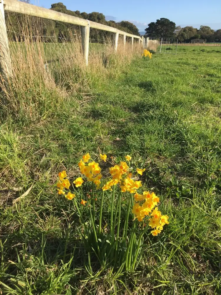 Sixth view of Homely land listing, LOT 5/81-99 GRAYDENS ROAD, Ventnor VIC 3922