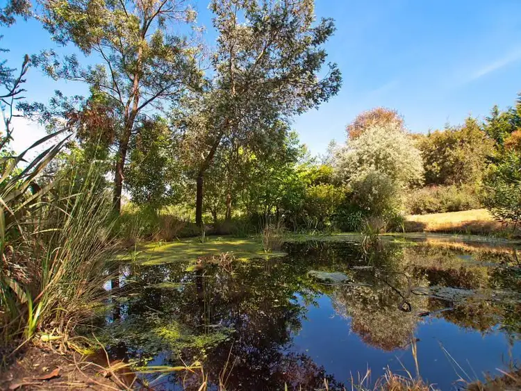 Sixth view of Homely house listing, 3 Chiltern Rise, Langwarrin VIC 3910