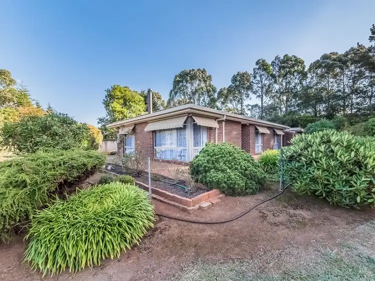 Main view of Homely rural property listing, 901 Sunny Creek Road, Trafalgar South VIC 3824