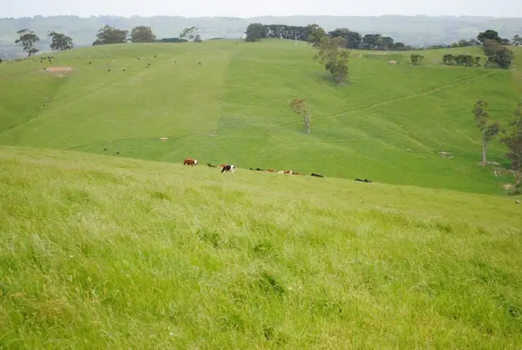 Sixth view of Homely rural property listing, 176 KUHNES ROAD, Mardan VIC 3953