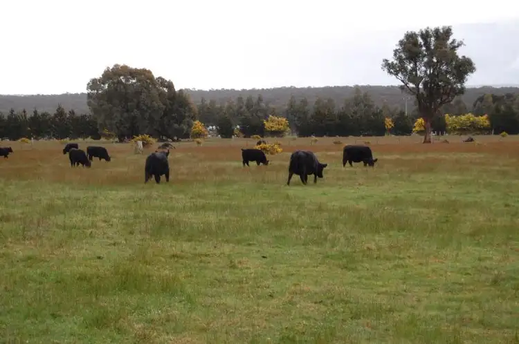 Second view of Homely land listing, 60a Grevillea Drive, Enfield VIC 3352