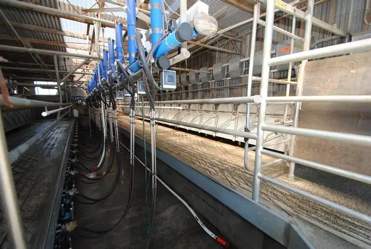 Seventh view of Homely rural property listing, 245 DENHAMS ROAD, Hallston VIC 3953