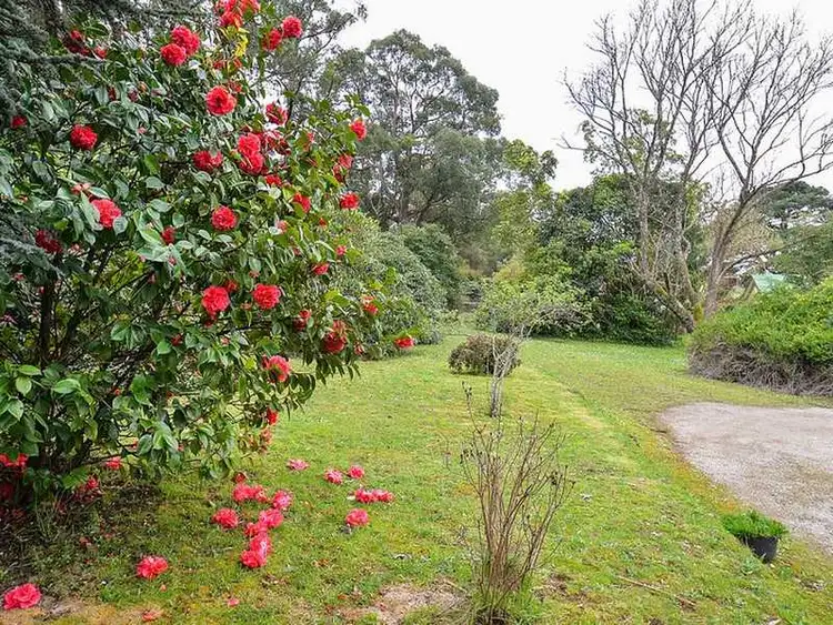 Sixth view of Homely house listing, 422 Belgrave-Gembrook Road, Emerald VIC 3782