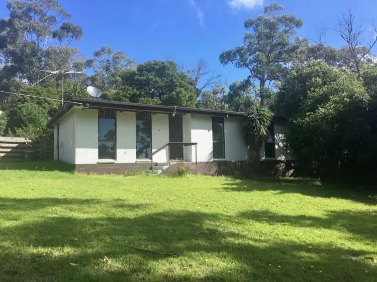 16 Shepherd Drive