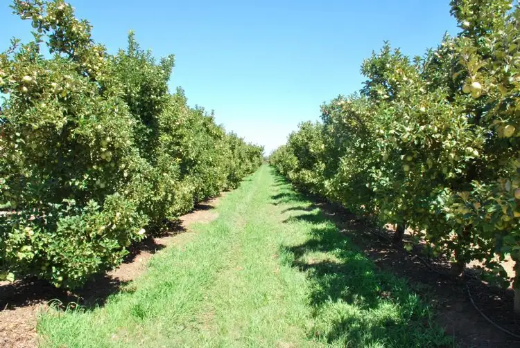 Main view of Homely rural property listing, 160 Prentice Road, Shepparton East VIC 3631