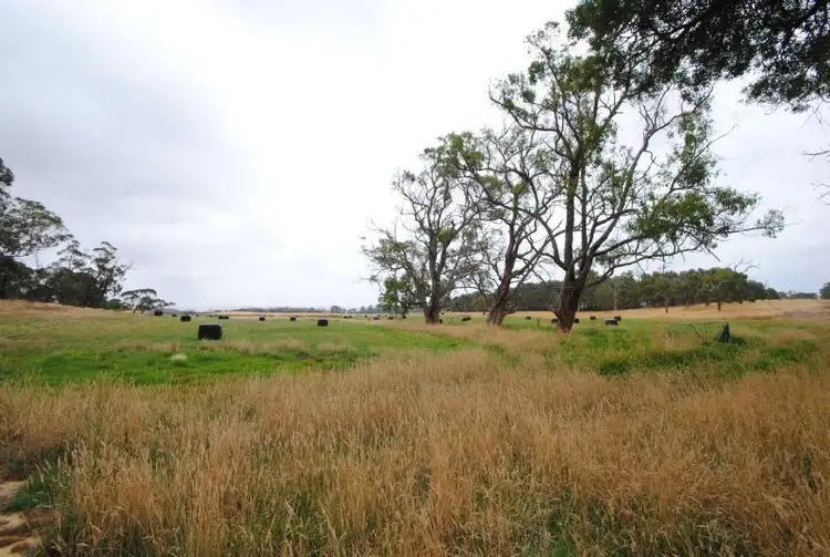 Seventh view of Homely rural property listing, 530 TELEGRAPH ROAD, Hedley VIC 3967