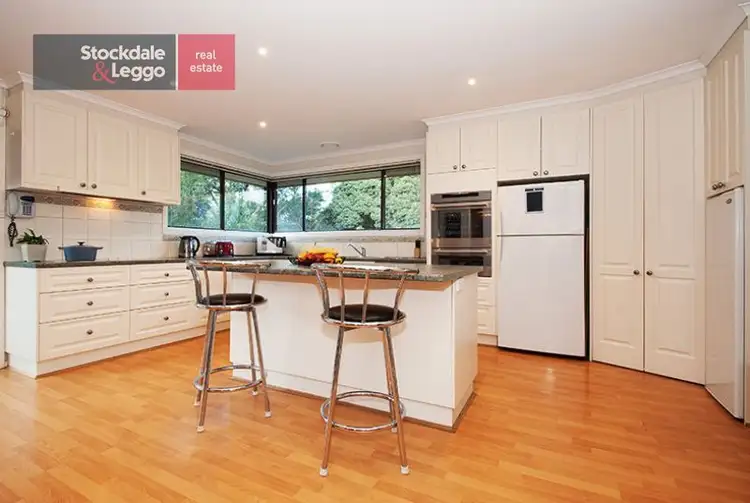 Third view of Homely house listing, 17 Pope Avenue, Boronia VIC 3155