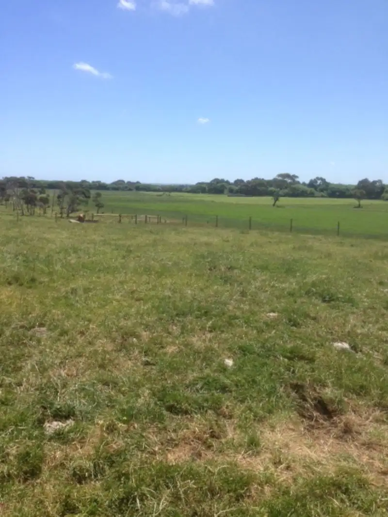 Main view of Homely rural property listing, LOT 1 McCRAWS ROAD, Wattle Bank VIC 3995