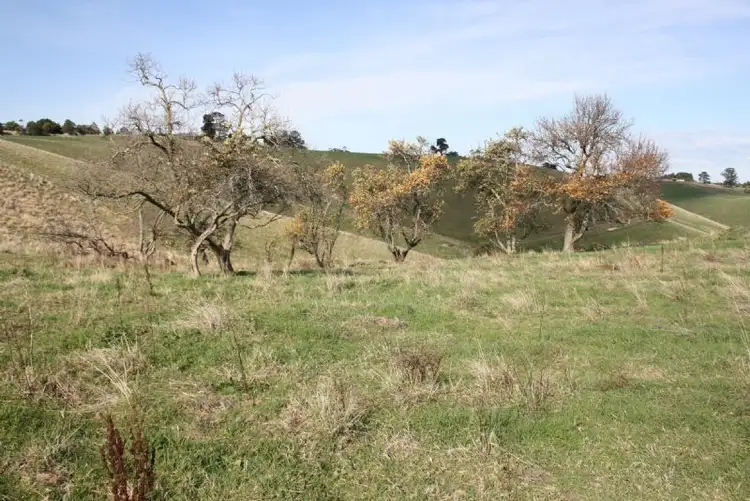 Sixth view of Homely rural property listing, 145 SOUTH ROAD, JEETHO/LOCH via, Korumburra VIC 3950