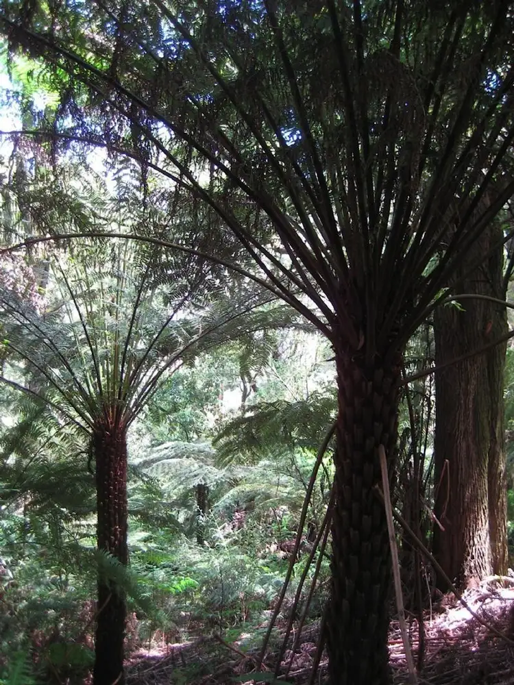 Seventh view of Homely rural property listing, 195 DOLLAR-WOORARRA WEST ROAD, Foster VIC 3960