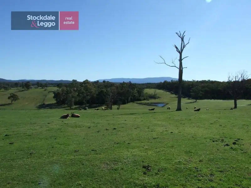 Main view of Homely rural property listing, 1151 Moe Rawson Road THALLOO, Tanjil South VIC 3825