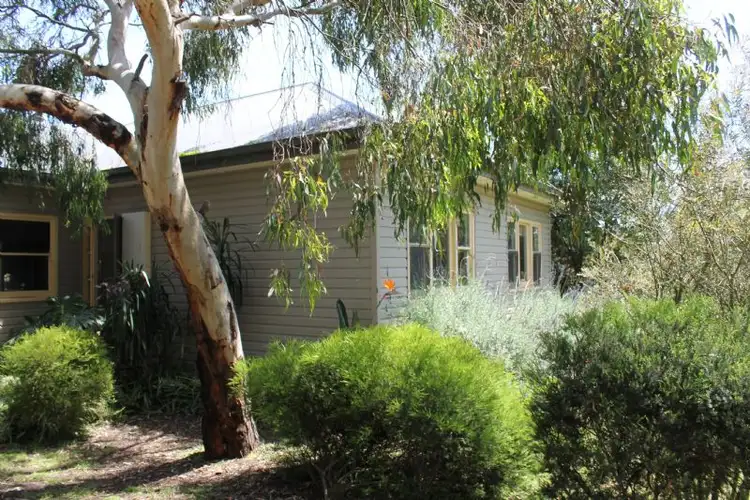Sixth view of Homely house listing, 24 Pine Avenue, Cowes VIC 3922