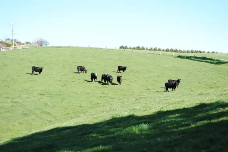 Fifth view of Homely rural property listing, LOT 4, 80 KONGWAK RD, Kongwak VIC 3951