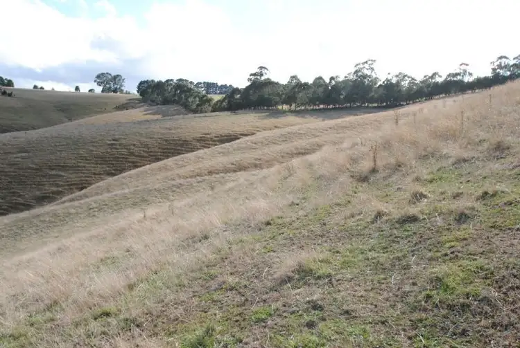 Sixth view of Homely rural property listing, 199 BERRYS CREEK ROAD, Berrys Creek VIC 3953