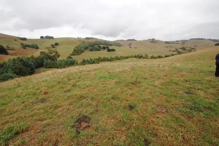 Second view of Homely rural property listing, 15 TWITES ROAD, Bena VIC 3946