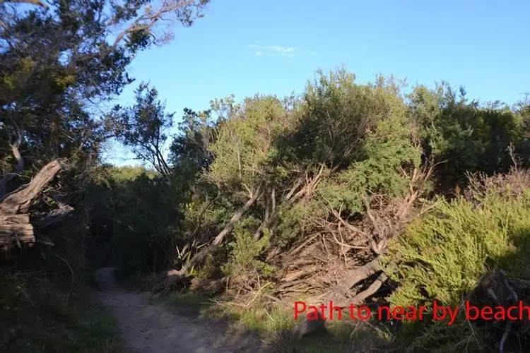 Seventh view of Homely land listing, 26 Veronica Street, Inverloch VIC 3996