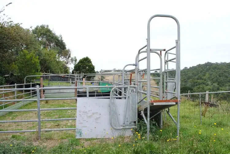 Second view of Homely rural property listing, 748 FOSTER-MIRBOO ROAD, Dollar VIC 3871