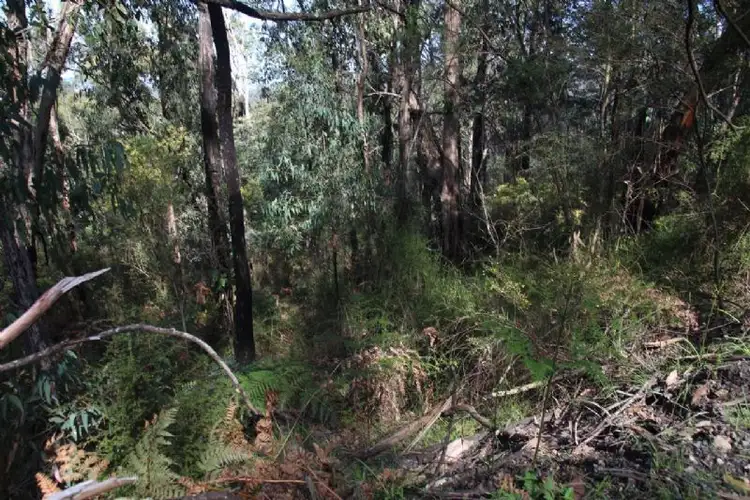 Third view of Homely land listing, 47 Warringah Drive, Chum Creek VIC 3777