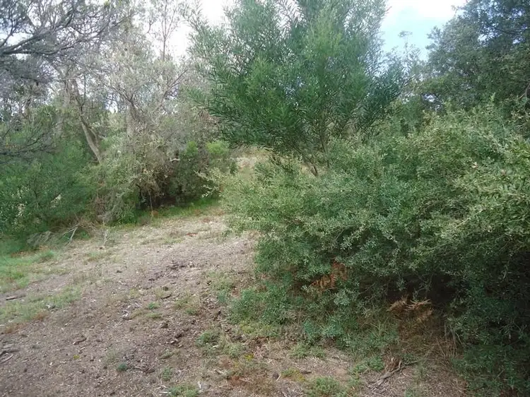 Main view of Homely land listing, 45 Black Avenue, Venus Bay VIC 3956