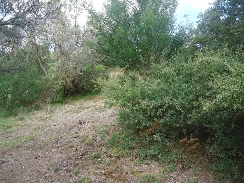 Main view of Homely land listing, 45 Black Avenue, Venus Bay VIC 3956