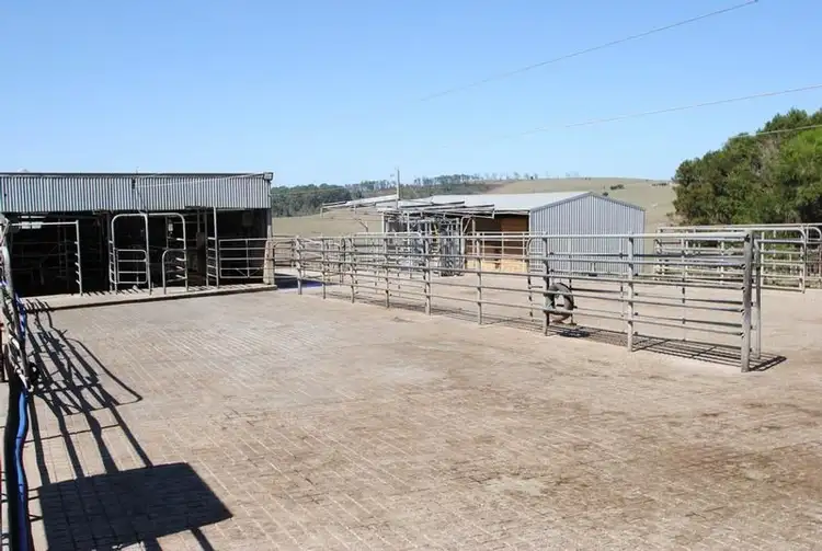 Second view of Homely rural property listing, 245 DENHAMS ROAD, Hallston VIC 3953