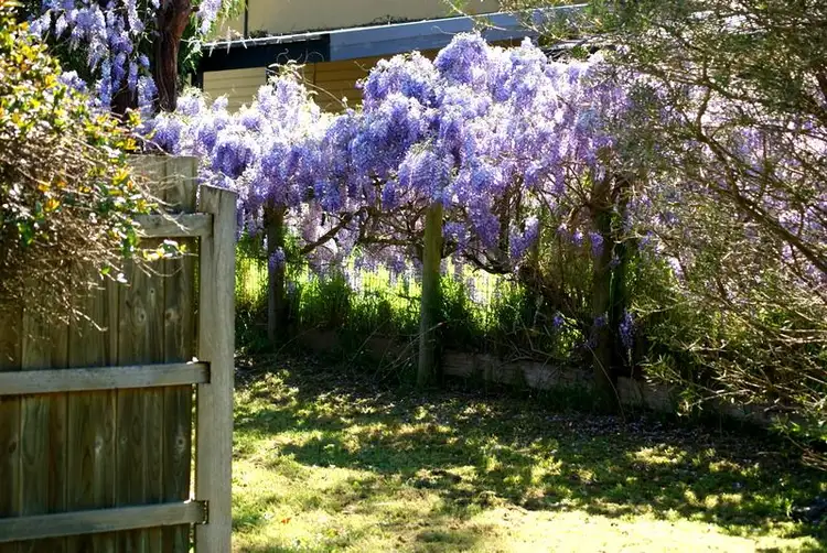 Fifth view of Homely house listing, 44 Cannons Creek Rd, Cannons Creek VIC 3977