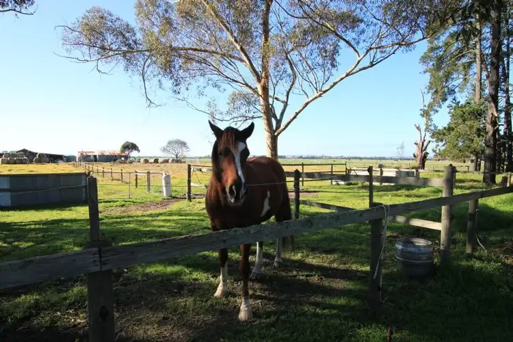 Sixth view of Homely rural property listing, 810 Caldermeade Road, Bayles VIC 3981