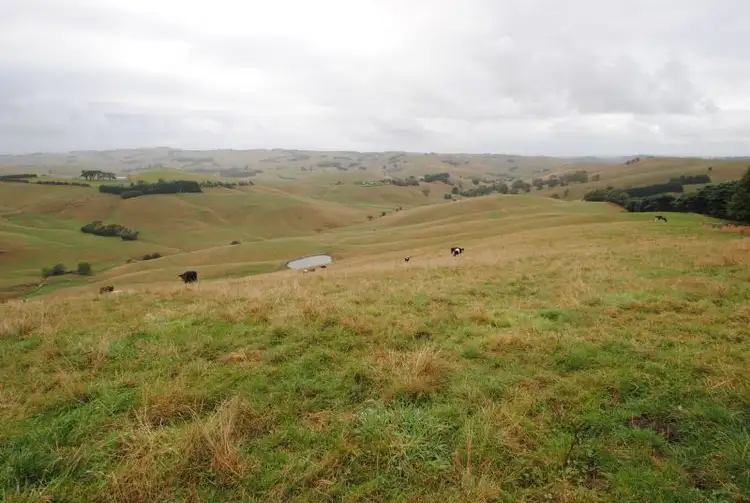 Third view of Homely rural property listing, 15 TWITES ROAD, Bena VIC 3946