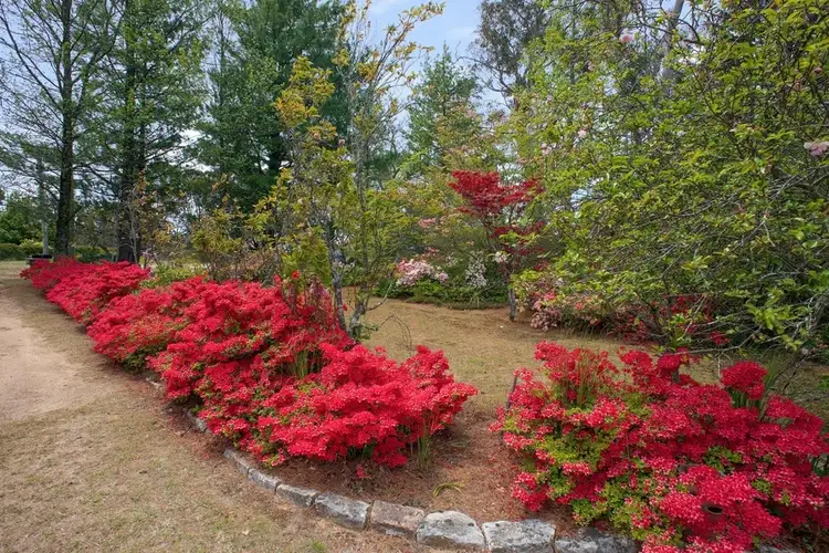Main view of Homely land listing, 18 Stuarts Road, Katoomba NSW 2780