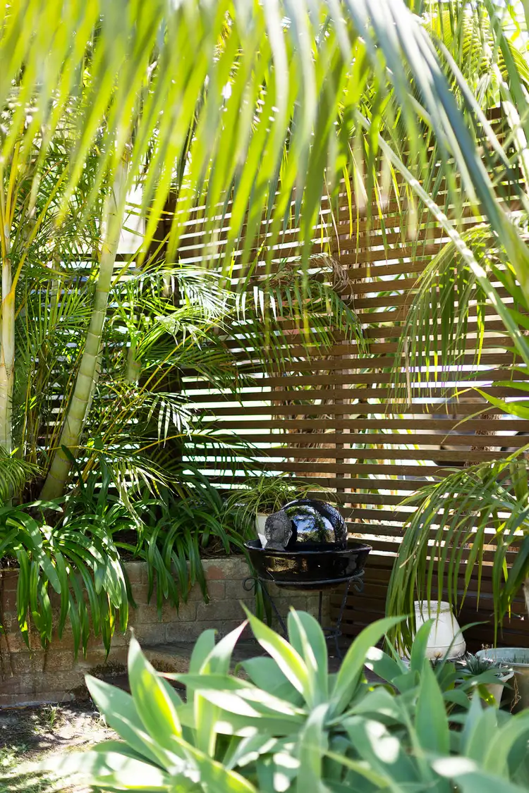 Fifth view of Homely house listing, 54 Churchill Crescent, Allambie Heights NSW 2100