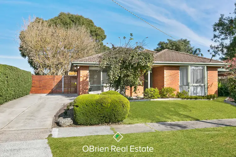 12 Kerrie Anne Court, Skye VIC 3977