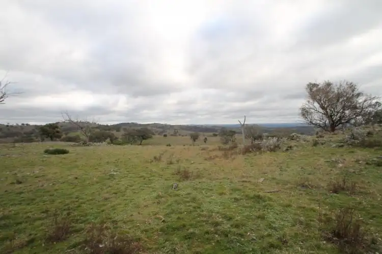 Fifth view of Homely rural property listing, 850 Hughes Road, Piambong NSW 2850