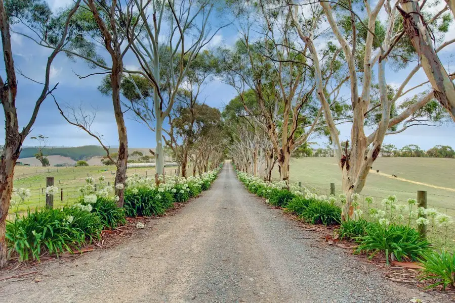 Main view of Homely rural property listing, 1330 Old Bull Creek Road, Meadows SA 5201