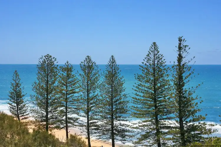 Fourth view of Homely unit listing, Level Penthouse/10/28 Victoria Terrace, Shelly Beach QLD 4551