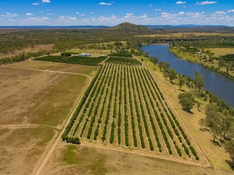 Third view of Homely rural property listing, 196 Mt Lawless Road, Gayndah QLD 4625