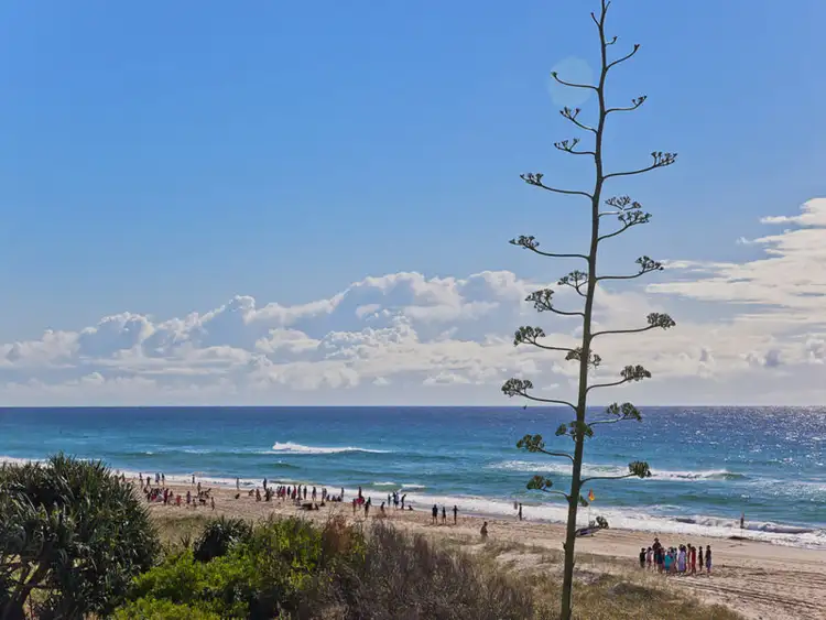 Second view of Homely house listing, 202/1483 Gold Coast Highway, Palm Beach QLD 4221