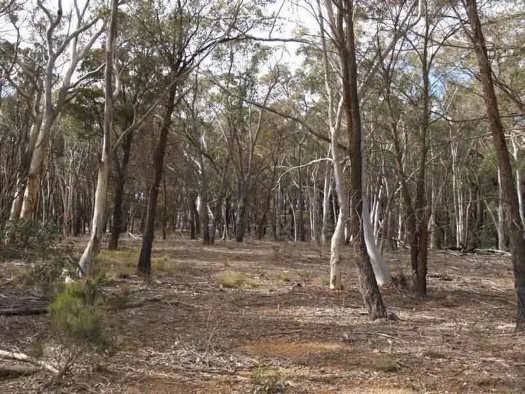 Third view of Homely land listing, 1411 Lumley Road, Bungonia NSW 2580