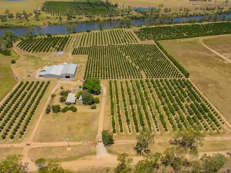 Main view of Homely rural property listing, 196 Mt Lawless Road, Gayndah QLD 4625