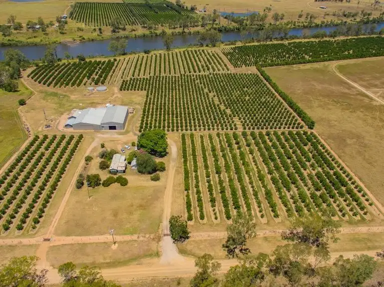 Main view of Homely rural property listing, 196 Mt Lawless Road, Gayndah QLD 4625